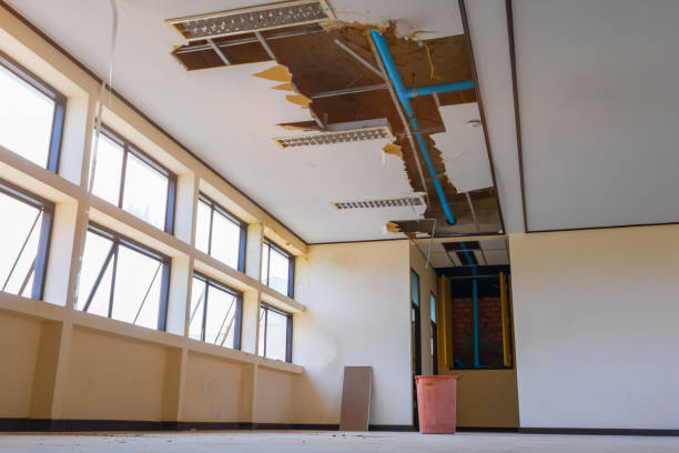 Best Sewage cleanup and water damage restoration  in Meadview, AZ