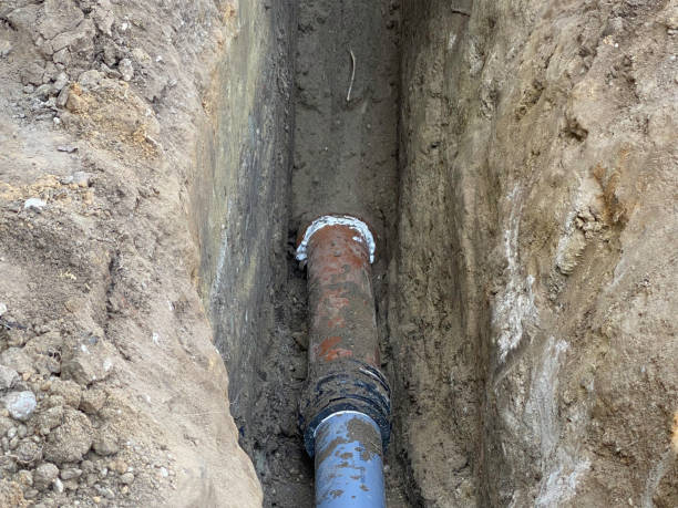 Best Sewage cleanup and water damage restoration  in Meadview, AZ