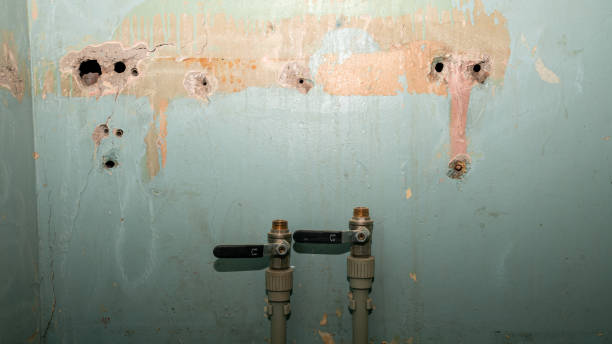 Local water damage restoration in Meadview, AZ