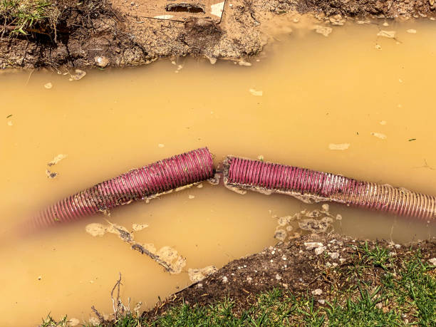 Best Flooded house restoration  in Meadview, AZ