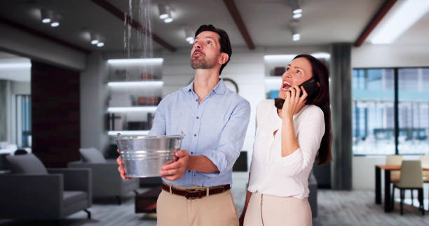 Best Flooded house restoration  in Meadview, AZ