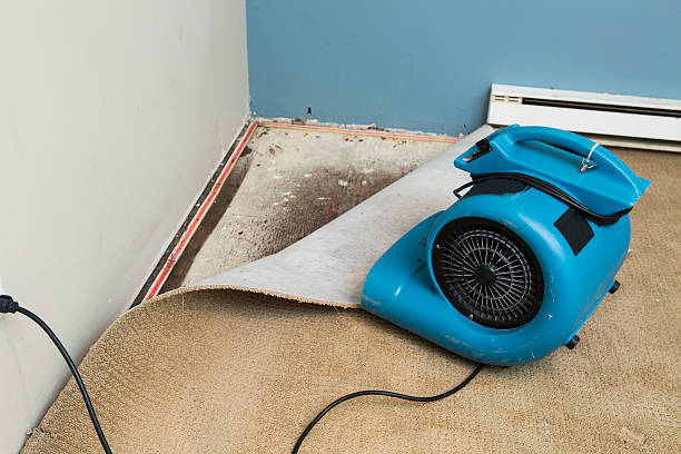 Best Fire Damage Restoration  in Meadview, AZ